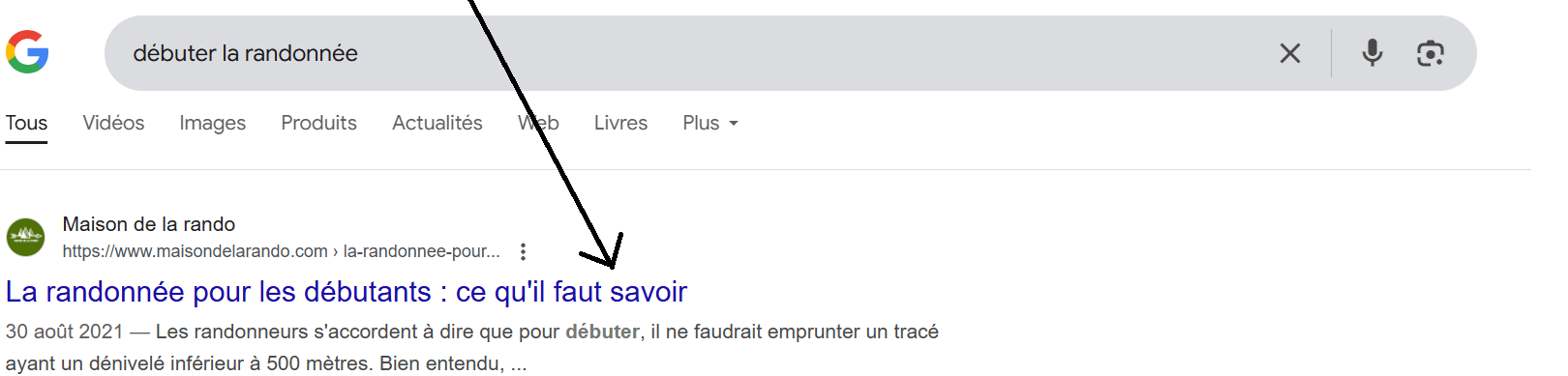 capture d'écran d'un title sur Google