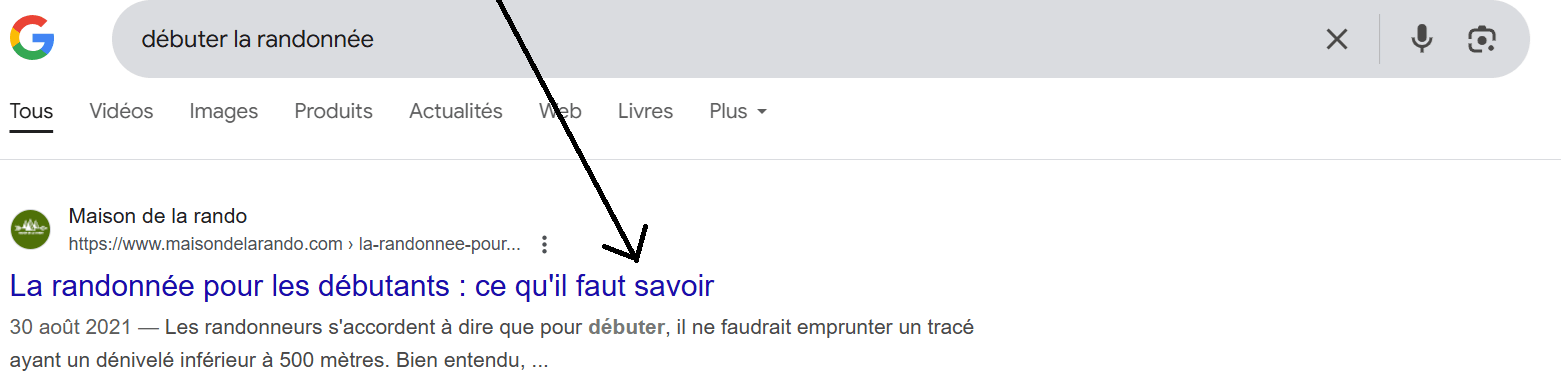 capture d'écran d'un title sur Google