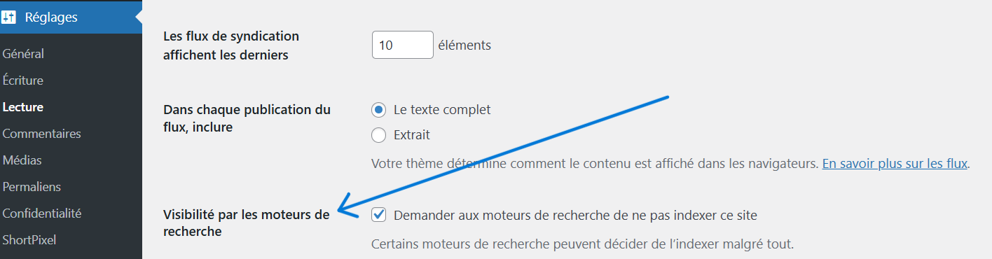 capture d'écran indexation wordpress