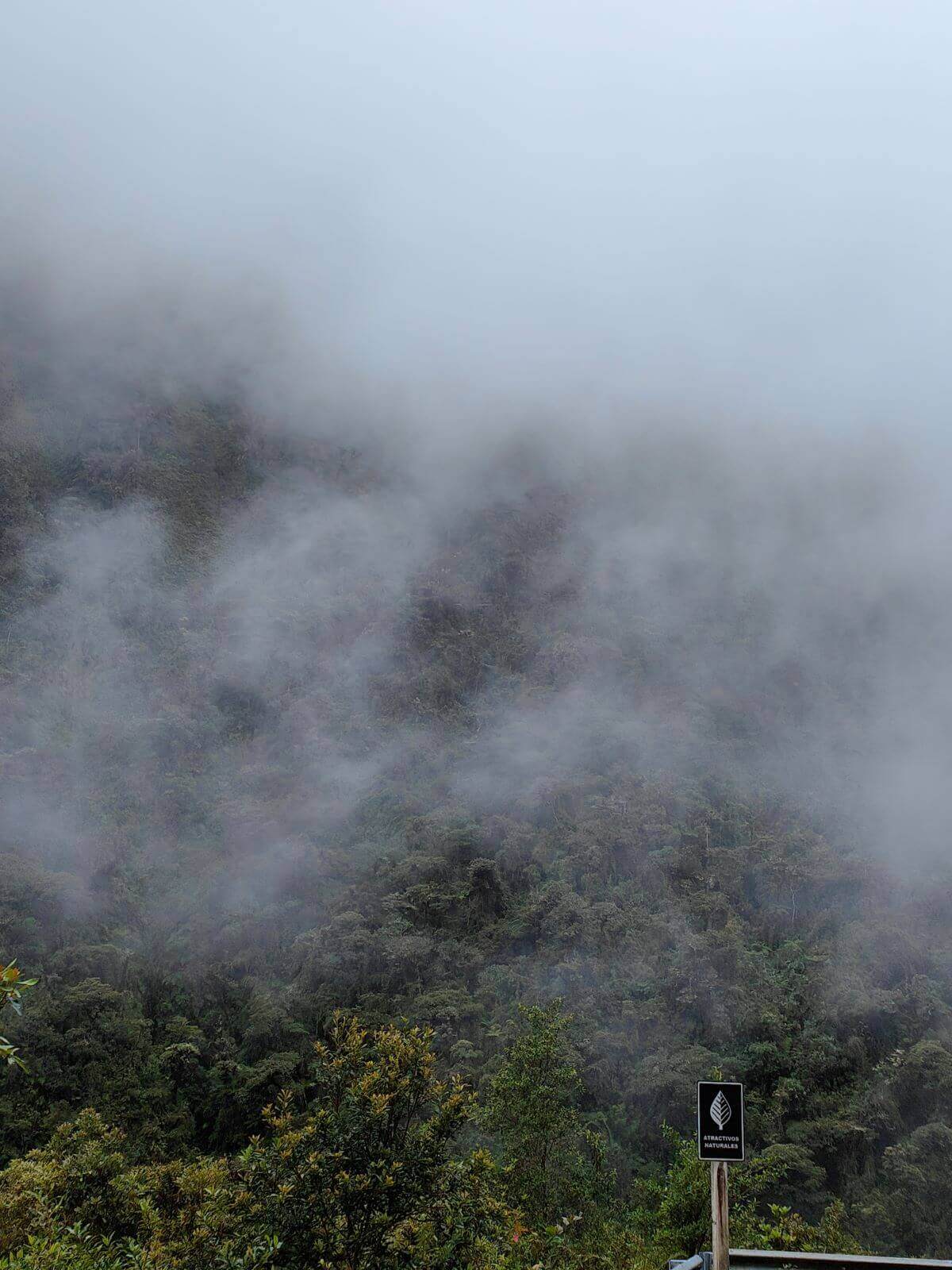 brouillard sur la route de la mort