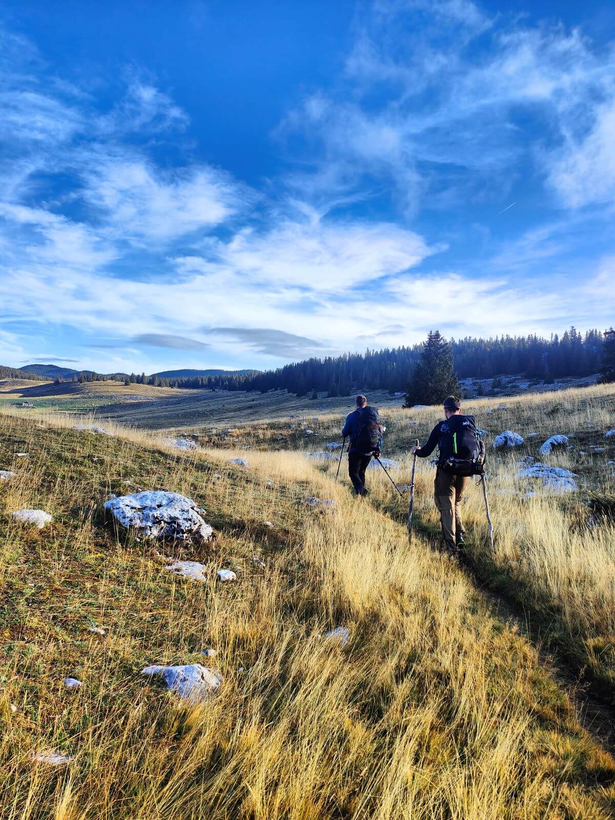 deux randonneurs en pleine nature