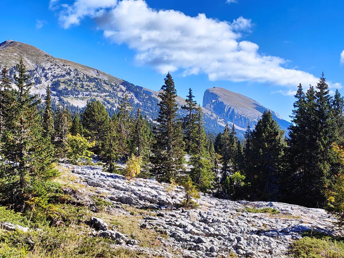 partie du GR91 dans le Vercors